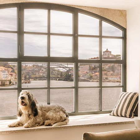 The Rebello Hotel & Spa - Small Luxury Hotels Of The World Vila Nova de Gaia Luaran gambar A window with a dog