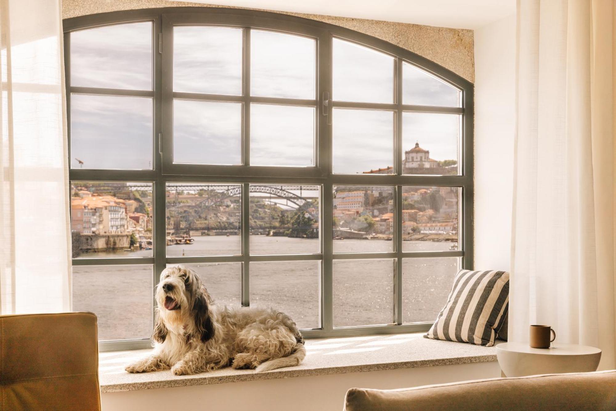The Rebello Hotel & Spa - Small Luxury Hotels Of The World Vila Nova de Gaia Luaran gambar A window with a dog
